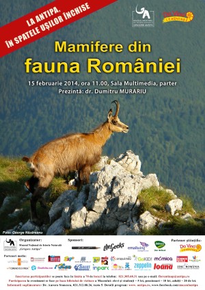 Mamifere din fauna Romaniei la Muzeul Antipa