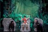 CARTEA JUNGLEI la Teatrul Ion Creanga