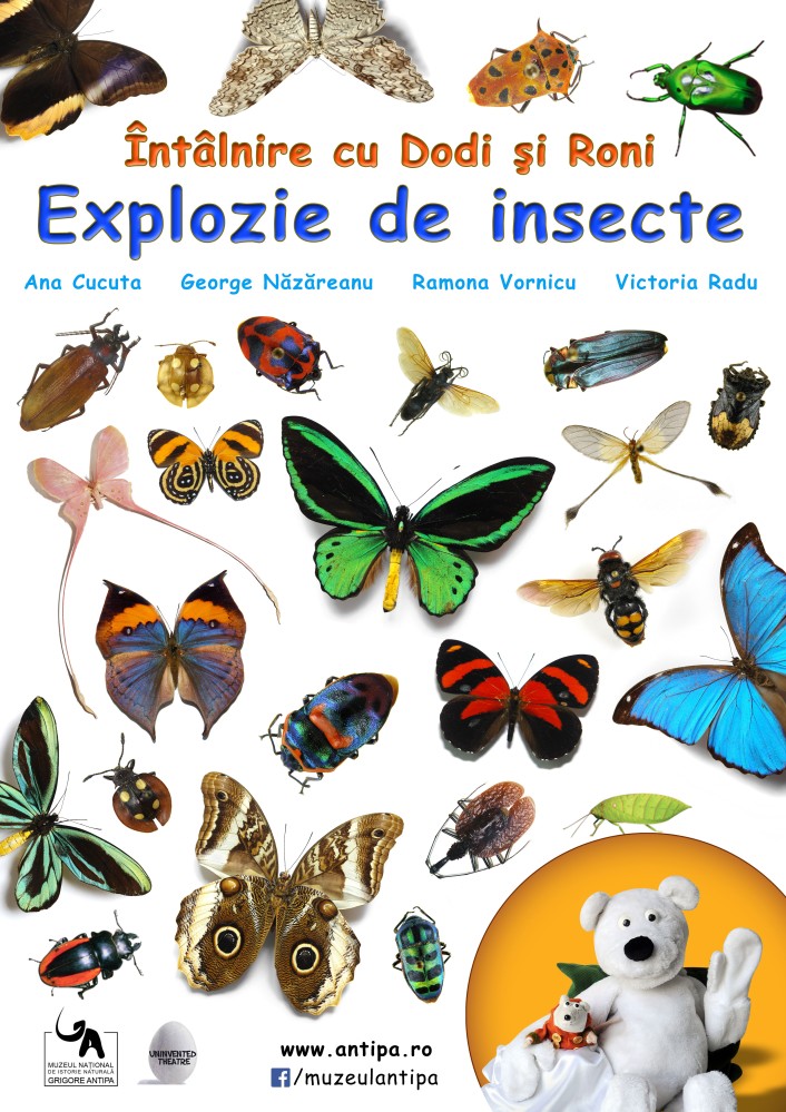 Intalnire cu Dodi si Roni: Explozie de insecte