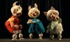 Incepe stagiunea de vara TEATRU, STRADA si COPIL