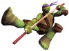 Testoasele Ninja revin la Nickelodeon