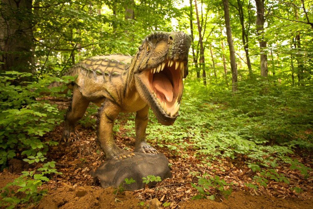 Dino Parc Rasnov, cel mai mare parc cu dinozauri din Sud-Estul Europei