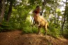 Dino Parc Rasnov, cel mai mare parc cu dinozauri din Sud-Estul Europei
