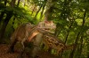 Dino Parc Rasnov, cel mai mare parc cu dinozauri din Sud-Estul Europei