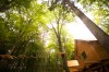 Dino Parc Rasnov, cel mai mare parc cu dinozauri din Sud-Estul Europei