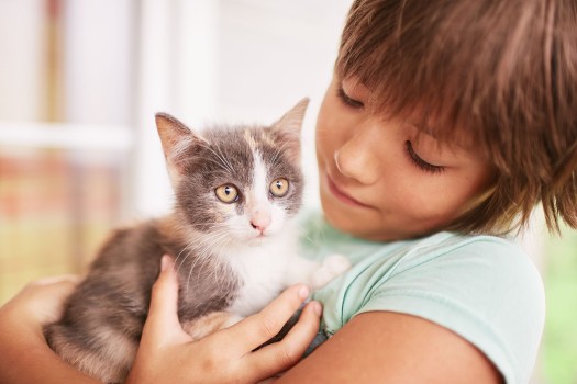 Pisica: efecte terapeutice în viața copiilor