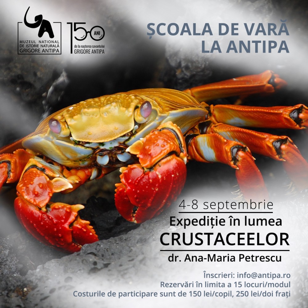 Expediție în lumea crustaceelor, la Antipa