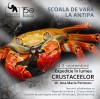 Expediție în lumea crustaceelor, la Antipa