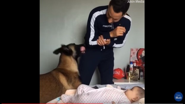 Reacția unui câine când un tată își „pedepsește” copilul a devenit virală pe Internet VIDEO