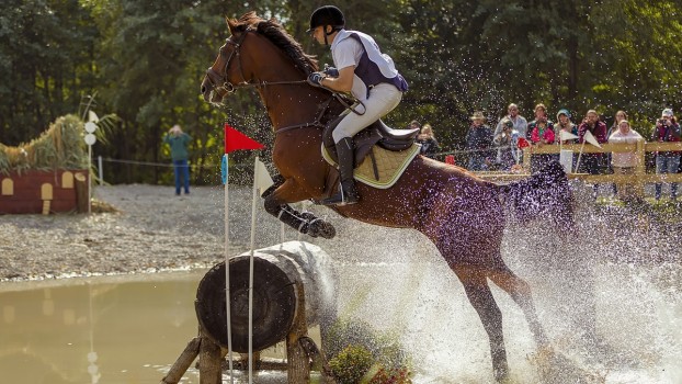 Prichindeii tăi adoră caii? Participă la CONCURS și poți câștiga o invitație la Karpatia Horse Show – Ediția 2018!