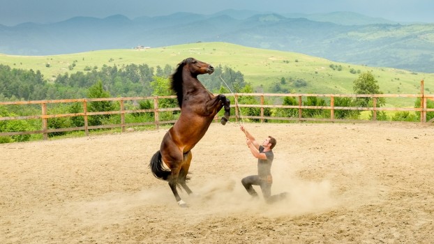 Karpatia Horse Show 2018, 3 zile de competiție, aventură și dischis pe Domeniul Cantacuzino de la Florești