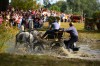 Spectacol ecvestru de top pentru 12.000 de spectatori la Karpatia Horse Show