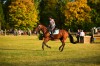 Spectacol ecvestru de top pentru 12.000 de spectatori la Karpatia Horse Show