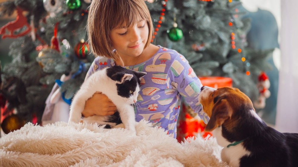 Scrisoare către Moș Crăciun: Îmi doresc un animal de companie!