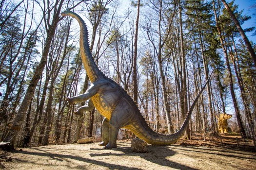 Cel mai înalt dinozaur, la Dino Parc Râșnov