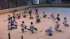Clubul Sportiv Scolar Triumf – sector 1