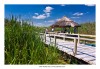 Parcul Natural Comana