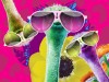 Kids Choice Awards 2014 – aproape de start