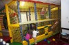 Baby-sitting gratuit si rasfat la Baby Expo