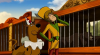 Scooby Doo la circ